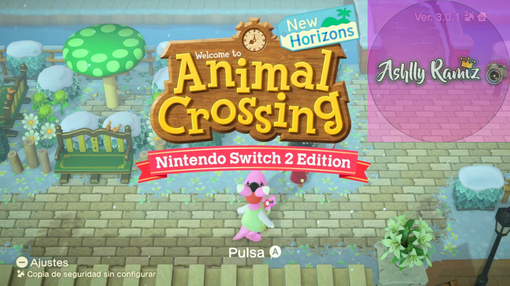 Animal Crossing: New Horizons 3.0.1