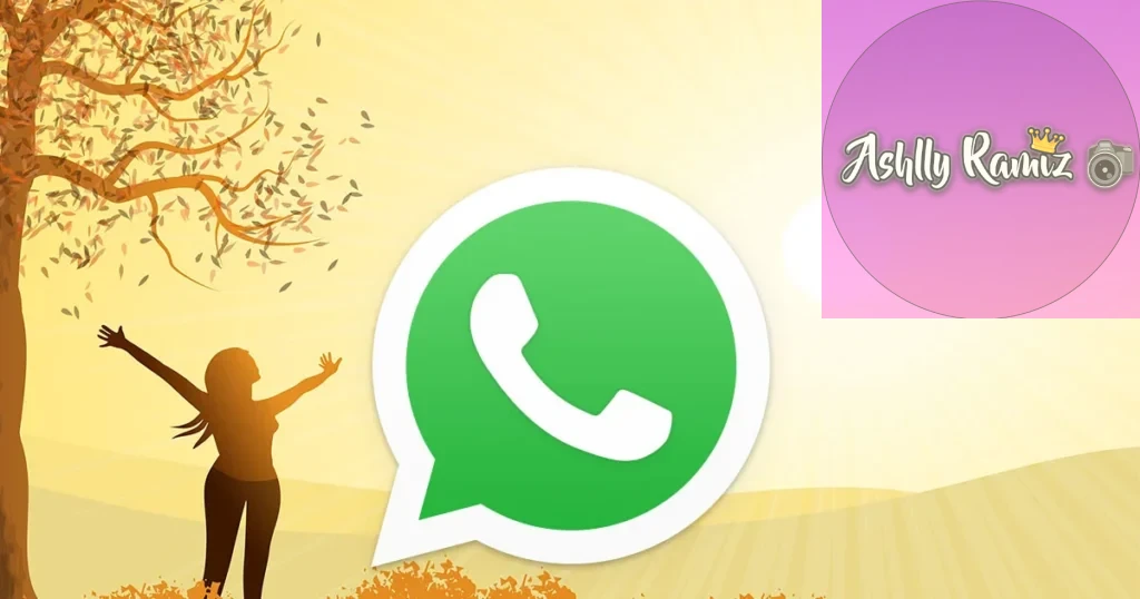 whatsapp escribir sin agregar