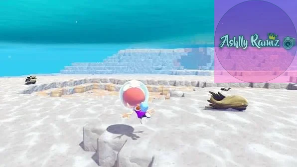 pokopia buceo